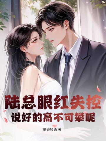 陆总是什么电视里头的