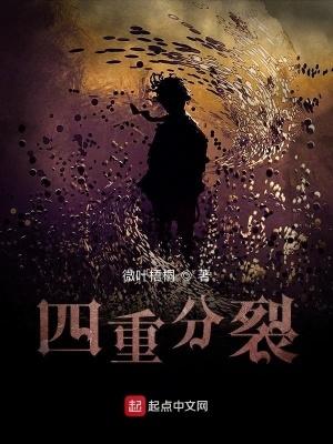 四重分裂女主角
