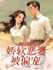 七零军婚年代女主随军文