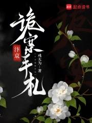 汴京诡案手札大结局