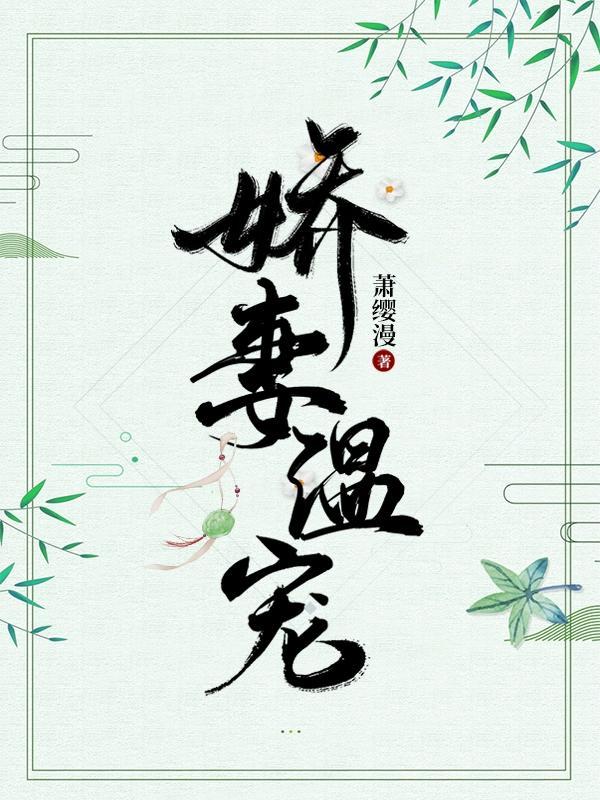 娇宠爱妻
