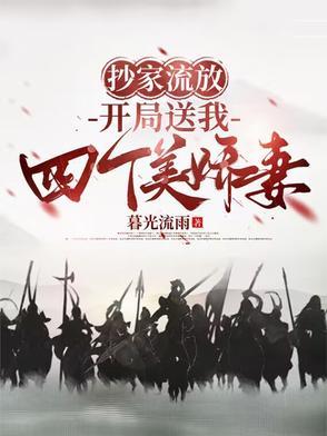 开局送我四个美娇妻 作者暮光流雨