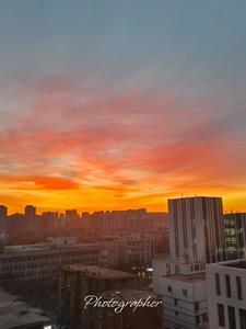 女帝背后的是什么