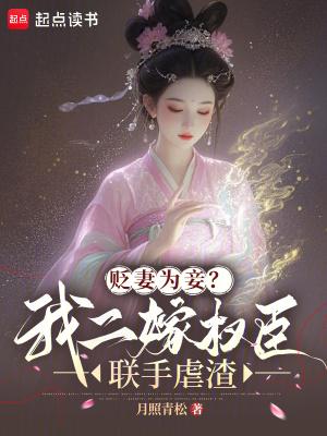 贬妻为妾全文免费阅读175