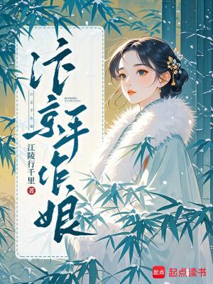 汴京小医娘书评