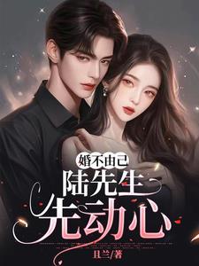 婚不由己陆先生先动心且兰免费阅读