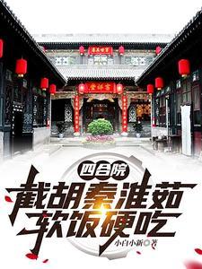 四合院秦怀如