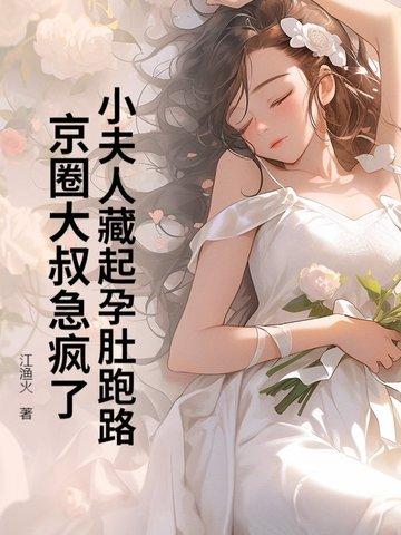小夫人怎么样