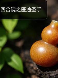 四合院神医圣手开局坑棒梗