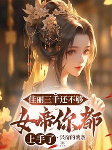 佳丽三千是什么意思?