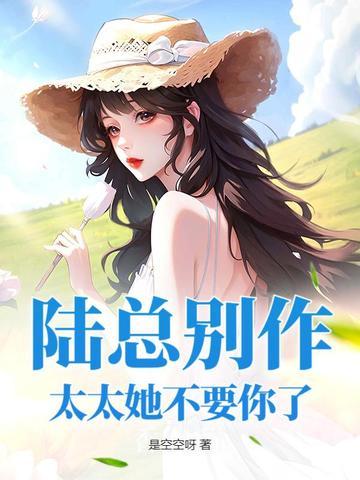 陆总别傲娇免费完结