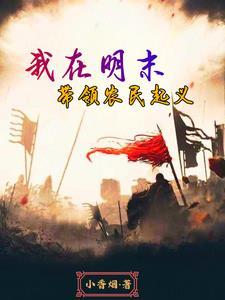 穿越明末起义军