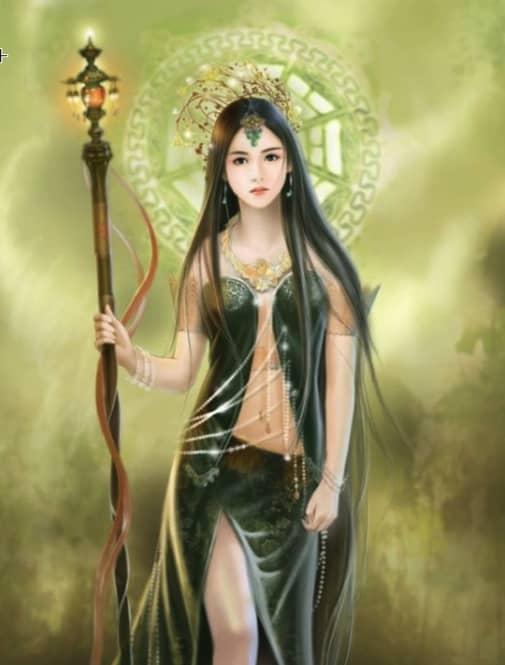 陆洛是哪个的主角