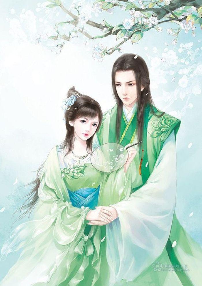 秦珩沈知岁全文免费阅读