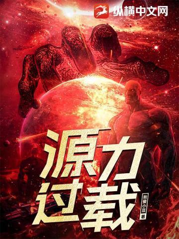 源力过载txt
