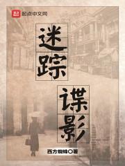 迷踪谍影断更了