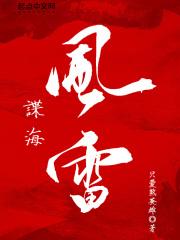 电视连续剧谍海风云