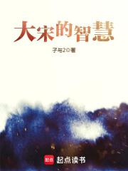 大宋的智慧TXT精校版