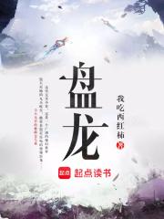 盘龙景点