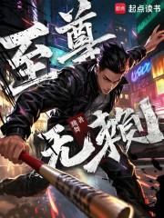 至尊无赖 百科