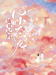 盛书记的心尖宠TXT