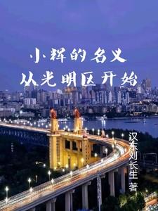 小辉的名义从光明区开始汉东刘长生 / 著111.3万字