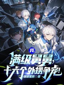 我满级舅舅十六个外甥争宠TXT