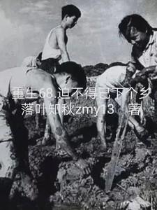 迫不得已下个乡二次元完整版