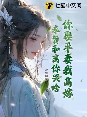 娶平妻的