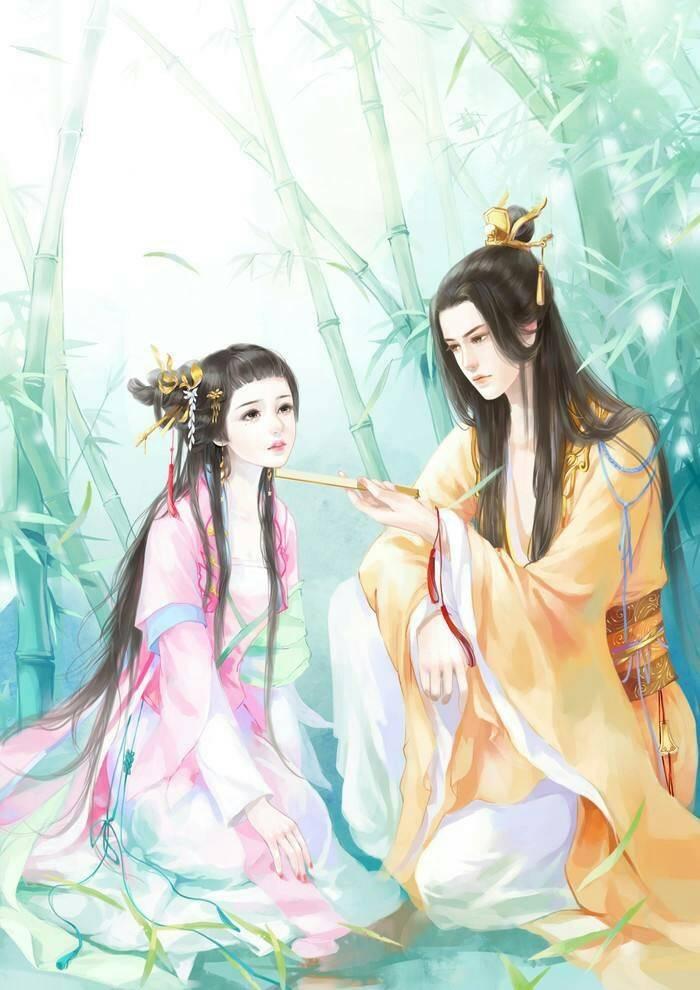 沈微雪霍崤免费阅读