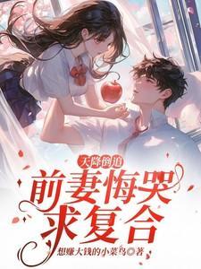 天降甜妻全本免费阅读